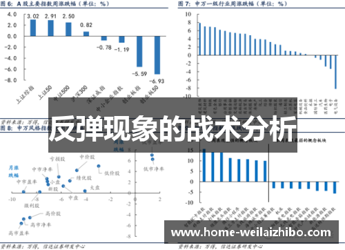 反弹现象的战术分析